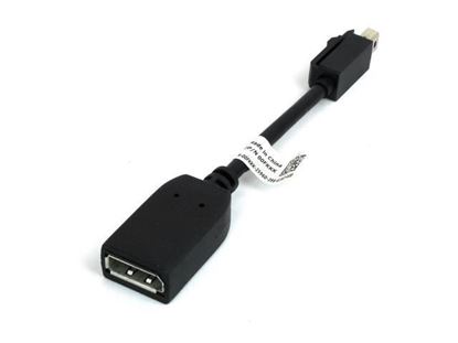 Picture of HP Single miniDP-to-DP Adapter Cable (2MY05AA)