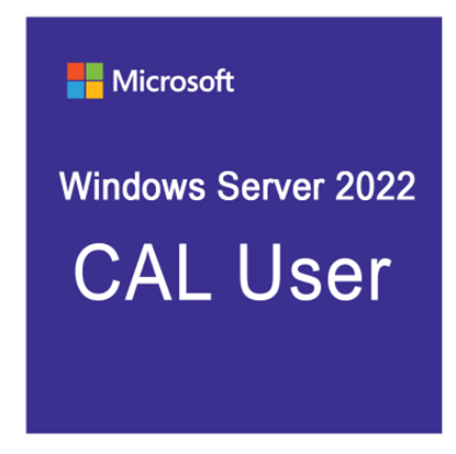 Picture of Windows Server 2022 - 1 User CAL