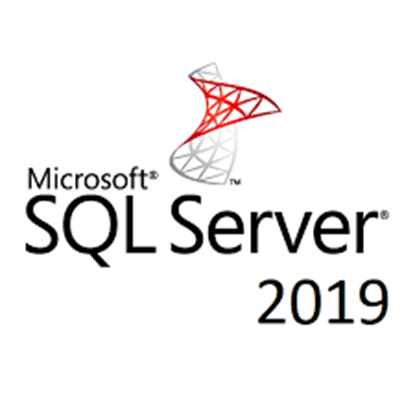 Picture of SQL Server 2019 Standard Edition