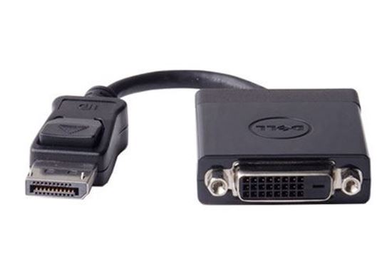 Picture of DisplayPort to DVI Adapter